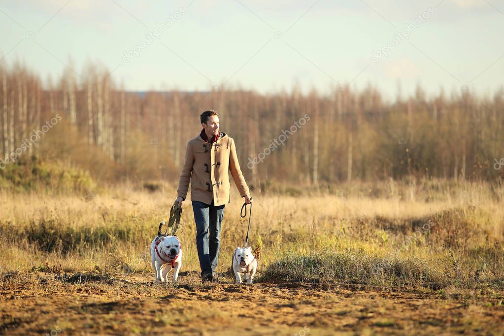 Young happy european smiling and laughing walking in a field with two dogs