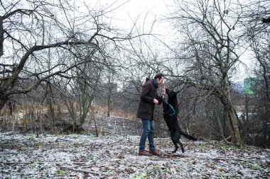 Bir kış çayırında yürüyen melez bir köpekle yürüyen bir adam.