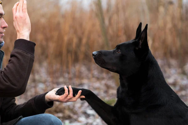 Un uomo con un cane randagio che cammina su un prato invernale — Foto Stock