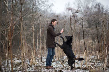 Bir kış çayırında yürüyen melez bir köpekle yürüyen bir adam.