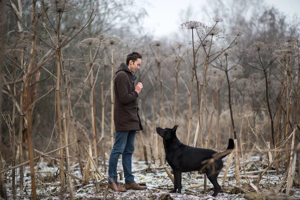 Ein Mann mit einem Mischlingshund beim Gassigehen auf einer Winterwiese — Stockfoto