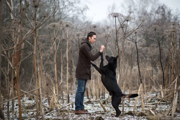 Ein Mann mit einem Mischlingshund beim Gassigehen auf einer Winterwiese — Stockfoto