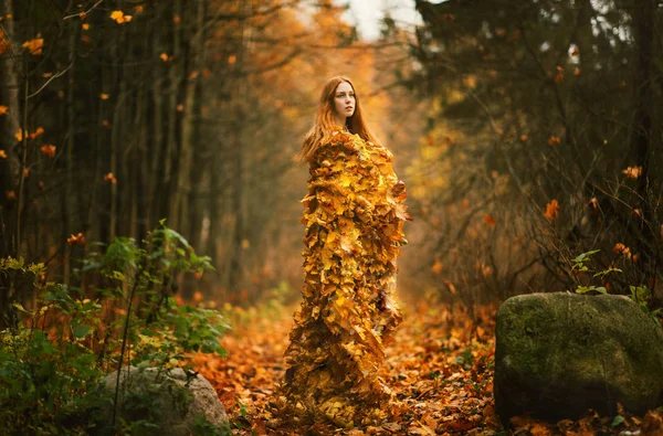 Modelo de outono de moda, vestido das folhas da queda, menina da beleza — Fotografia de Stock