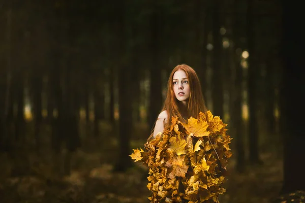 Modelo de outono de moda, vestido das folhas da queda, menina da beleza — Fotografia de Stock