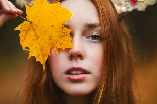 Modelo de outono de moda, vestido das folhas da queda, menina da beleza — Fotografia de Stock