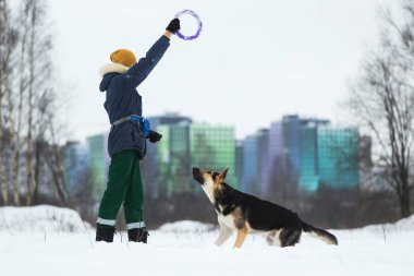 Kışın Parkta bir Alman çoban köpeğiyle oynayan adam