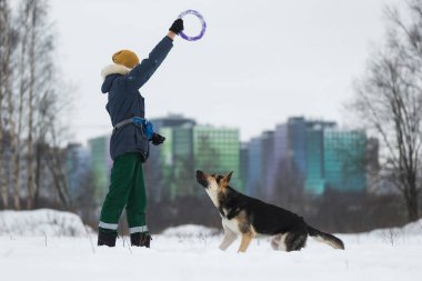 Kışın Parkta bir Alman çoban köpeğiyle oynayan adam