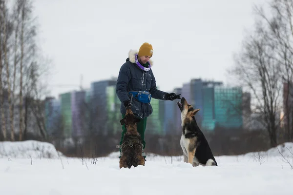 Homme jouant avec un berger allemand dans le parc en hiver — Photo