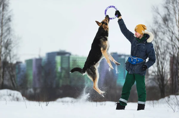 Kışın Parkta bir Alman çoban köpeğiyle oynayan adam