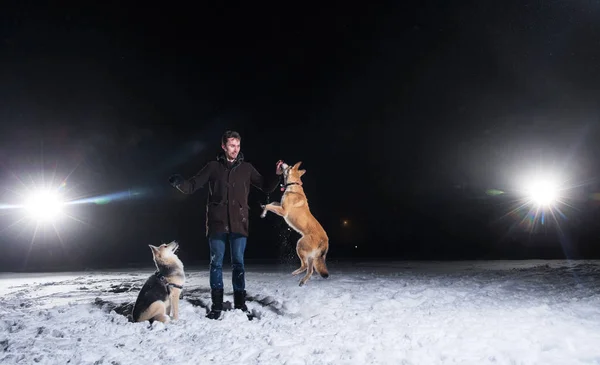 在冬天的夜晚，一个男人带着两只混血的狗在外面的侧视图 — 图库照片