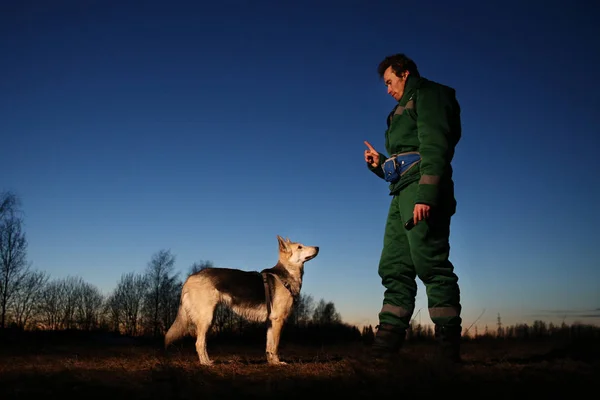 Человек с собакой на прогулке по полю на закате — стоковое фото