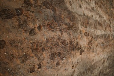 Yukarıdan kumlu bir yüzeydeki ayak izlerine bak