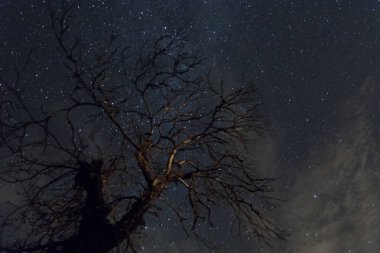 güzel bir yıldızlı gökyüzü karanlık gecede Samanyolu'nda