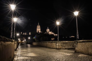 Güzel manzara katedralin Salamanca ve Roma Köprüsü, Castilla y Leon, İspanya