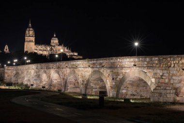 Güzel manzara katedralin Salamanca ve Roma Köprüsü, Castilla y Leon, İspanya