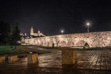 Güzel manzara katedralin Salamanca ve Roma Köprüsü, Castilla y Leon, İspanya