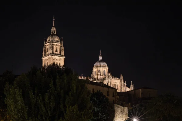 Hermosa Vista Catedral Salamanca Castilla León España —  Fotos de Stock