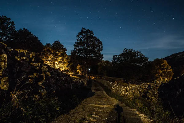 dark road of the night with a starry sky