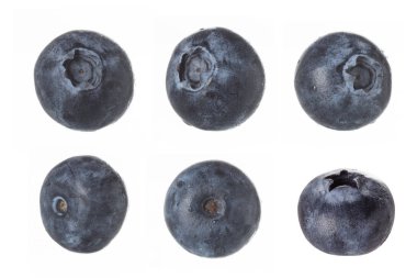 Blueberry stüdyoda beyaz arka plan ateş izole