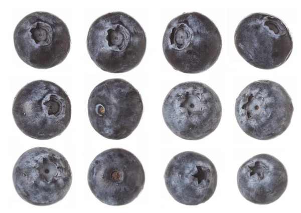 Blueberry stüdyoda beyaz arka plan ateş izole