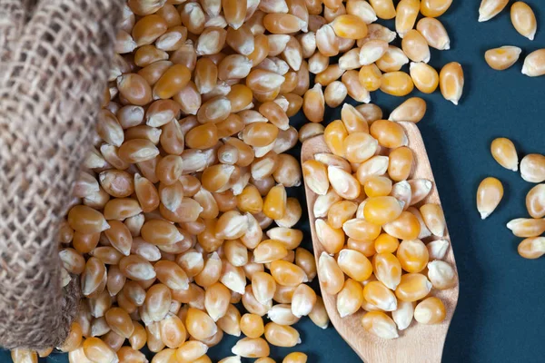 Chiudere i chicchi di mais asciutti su un cucchiaio di legno con i chicchi di mais — Foto Stock