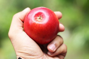 Agricultor com fruta na mao
