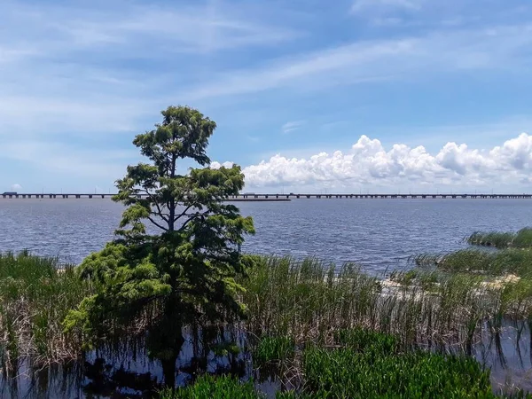 Mobile Bay Alabama Coasta Golfului — Fotografie, imagine de stoc