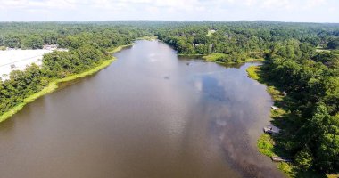 Daphne, Alabama Lake Forest mahallenin havadan görünümü 