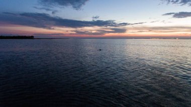 American Alligator mobil Bay, Alabama gün batımı üzerinde yüzeyler 