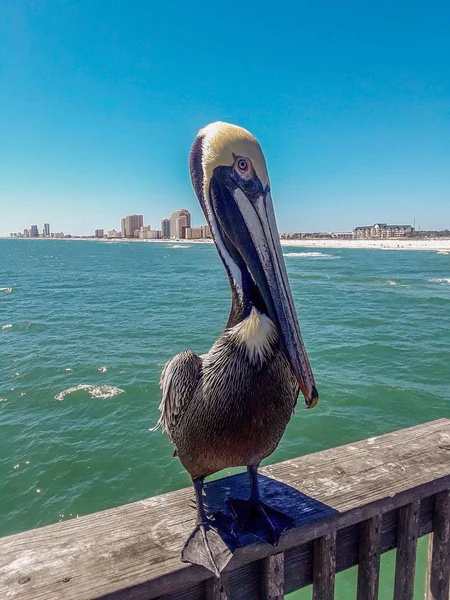 Summertime at Gulf Shores. A beach on the Alabama Gulf Coast