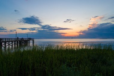 Mobile Körfezi 'nin doğu kıyısında Alabama Körfezi kıyısı günbatımı 