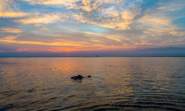 Günbatımında Mobile Körfezi 'nde bir Amerikan Timsahı 