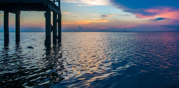 日没時に携帯湾のアメリカのワニ — ストック写真