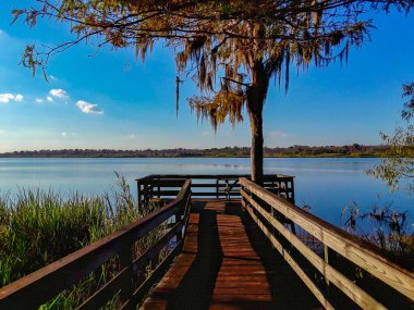 İspanya Kalesi, Alabama 'daki Blakeley Eyalet Parkı' nda Tensaw Nehri 'nde bir iskele. 