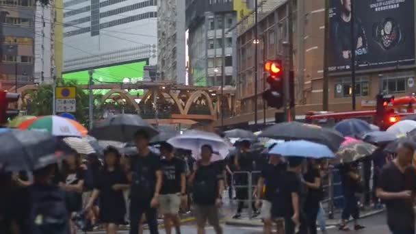 India and china adult texture top view 2019 asia business people crowd woman and asian man protest with umbrella. concept american propaganda — Stock Video