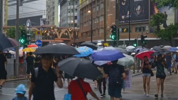 Vista superior 2019 asiático pessoas de negócios multidão mulher e asiático homem protesto com guarda-chuva textura adulta. conceito índia e china minério americano propaganda voz rali político . — Vídeo de Stock