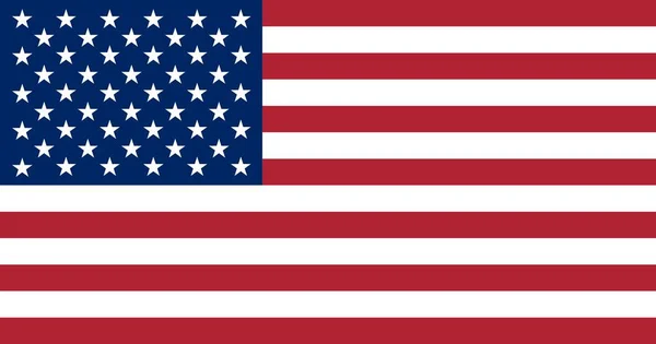 Flagge Der Vereinigten Staaten Von Amerika Genaue Abmessungen Elementproportionen Und — Stockvektor