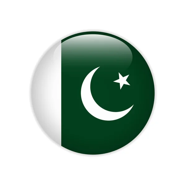 Pakistan Flag Button — Stock Vector