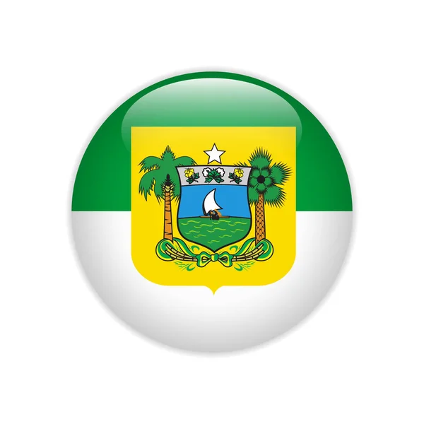 Bandera Bandeira do Rio Grande do Norte on button — Vector de stock