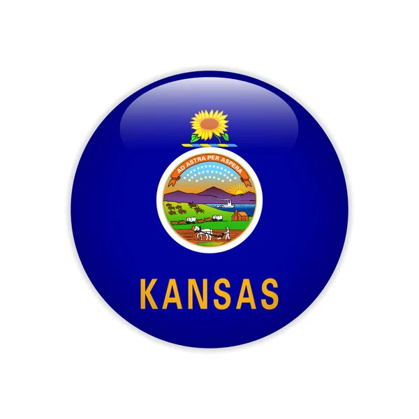 Bayrak Kansas düğmesini — Stok Vektör
