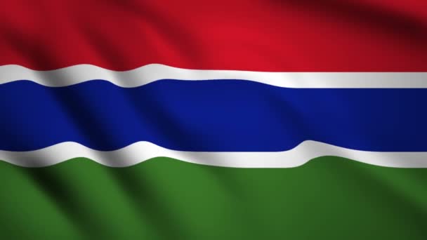 Gambia Flag Motion Video Zwaaiende Wind Markeer Close Ups 1080P — Stockvideo