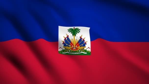 Haïti Drapeau Vidéo Mouvement Agitant Dans Vent Drapeau Gros Plan — Video