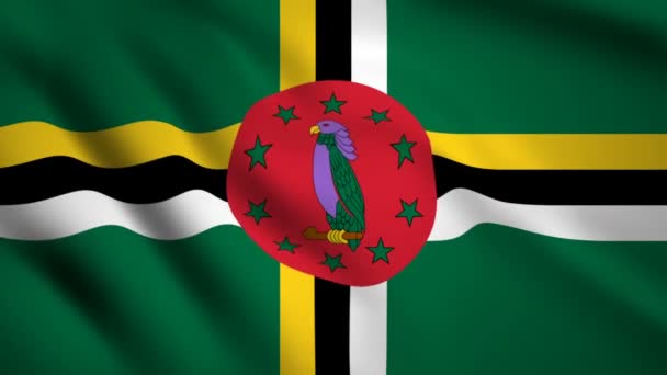 Dominica Flagge Bewegung Video Weht Wind Flagge Nahaufnahme 1080P Filmmaterial — Stockvideo