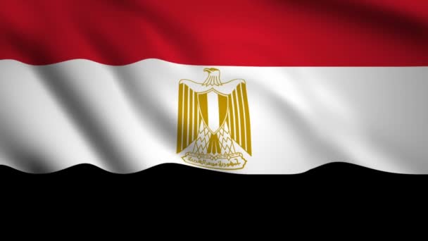 Egypte Vlag Motion Video Zwaaiende Wind Markeer Close Ups 1080P — Stockvideo