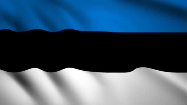 Estonská Vlajka Motion Video Mávající Větrem Vlajka Closeup 1080P Záběr — Stock video