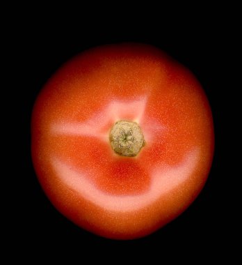 Siyah arka plan üzerine izole domates.