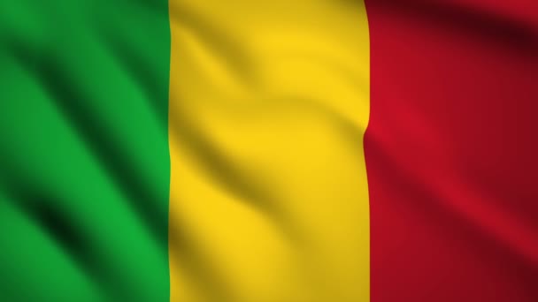 Mali Zászló Motion Videó Integetett Szél Zászló Closeup 1080P Hosszúság — Stock videók