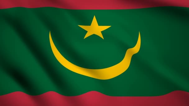 Drapeau Mauritanie Vidéo Mouvement Agitant Dans Vent Drapeau Gros Plan — Video