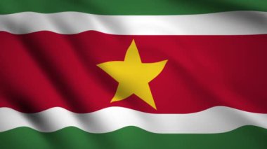 Surinam bayrağı Hareket video rüzgarsal sallayarak. Bayrak Closeup 1080p Hd görüntüleri