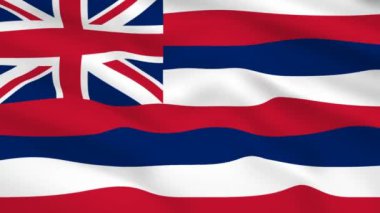 Hawaii Usa bayrağı rüzgarda dalgalanıyor